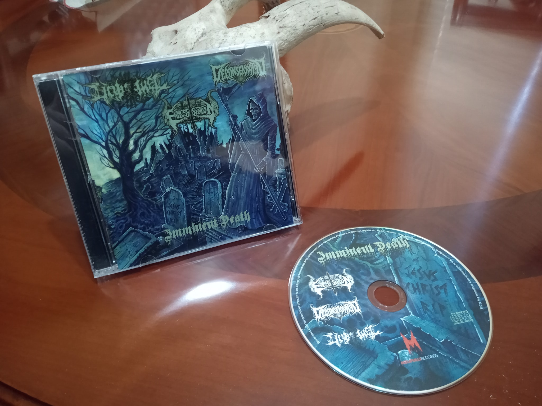 242209990 4942938119069629 2963086920451854427 n