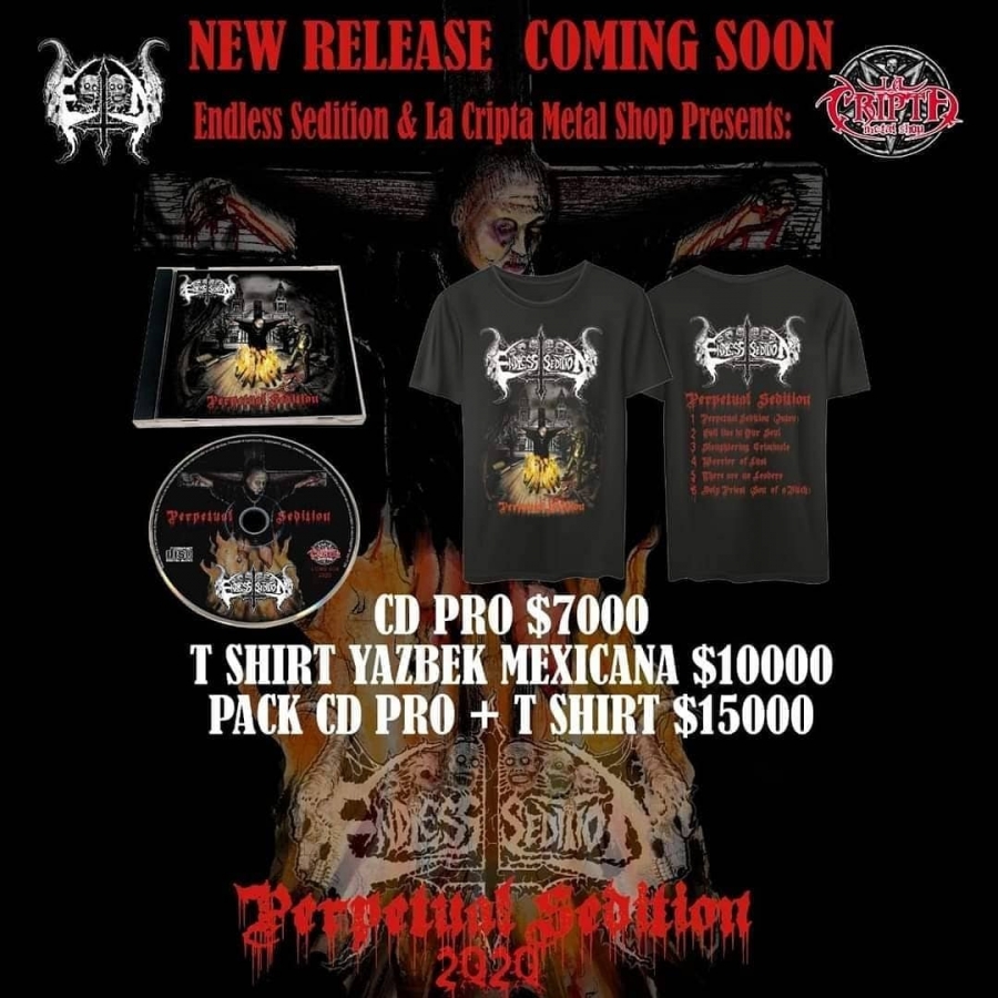 ENDLESS SEDITION &quot;PERPETUAL SEDITION&quot; EP 2020 T SHIRT SOLD OUT